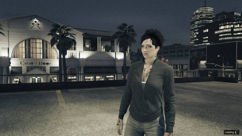 Rockford Plaza Night
